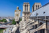 France, Paris, zone listed as World Heritage by UNESCO, Notre-Dame cathedral on the City island, the bell towers, the roof and the flying flying buttresses (archive)