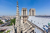 Frankreich, Paris, UNESCO-Welterbegebiet, Kathedrale Notre-Dame auf der Stadtinsel, das Dach, die fliegenden Strebepfeiler und die Glockentürme