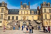 France, Seine et Marne, castle of Fontainebleau, the staircase in Horseshoe