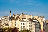 France, Paris, buildings district of Saint Michel