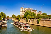 France, Paris, area listed as World heritage by UNESCO, Ile de la Cite, Notre Dame Cathedral and a fly boat