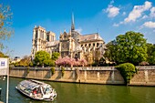 Frankreich, Paris, UNESCO-Welterbegebiet, Ile de la Cite, Kathedrale Notre Dame im Frühling und ein Schiffsbus