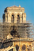 France, Paris, area listed as World heritage by UNESCO, Ile de la Cite, Notre Dame Cathedral, Scaffolding