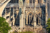 France, Paris, area listed as World heritage by UNESCO, Ile de la Cite, Notre Dame Cathedral, Scaffolding