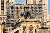 France, Paris, area listed as World heritage by UNESCO, Ile de la Cite, Notre Dame Cathedral, Scaffolding