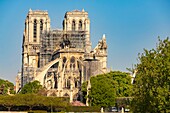 France, Paris, area listed as World heritage by UNESCO, Ile de la Cite, Notre Dame Cathedral, Scaffolding