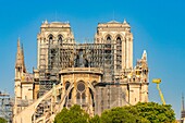 France, Paris, area listed as World heritage by UNESCO, Ile de la Cite, Notre Dame Cathedral, scaffolding, protection after the fire