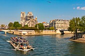 France, Paris, area listed as World heritage by UNESCO, Ile de la Cite, Notre Dame Cathedral and a fly boat