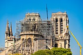 France, Paris, area listed as World heritage by UNESCO, Ile de la Cite, Notre Dame Cathedral, scaffolding, protection after the fire