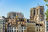 France, Paris, area listed as World heritage by UNESCO, Ile de la Cite, Notre Dame Cathedral
