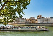 Frankreich, Paris, UNESCO-Welterbe, Ile de la Cite, Bateau Mouche und Kathedrale Notre Dame im Hintergrund