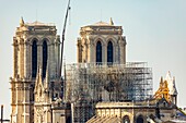 France, Paris, area listed as World heritage by UNESCO, Ile de la Cite, Notre Dame Cathedral, Scaffolding