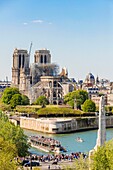 Frankreich, Paris, Weltkulturerbe der UNESCO, Ile de la Cite, Kathedrale Notre Dame und ein Flugboot