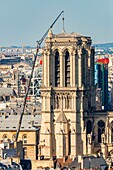 France, Paris, area listed as World heritage by UNESCO, Ile de la Cite, the towers of Notre Dame Cathedral