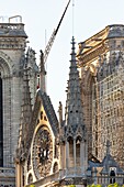 Frankreich, Paris, UNESCO-Welterbe, Ile de la Cite, Kathedrale Notre Dame, Baugerüst