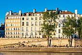 Frankreich, Paris, von der UNESCO zum Weltkulturerbe erklärtes Gebiet, Insel Saint Louis