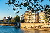 France, Paris, area listed as World heritage by UNESCO, Saint Louis Island and the City Hall