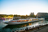 France, Paris, area listed as World heritage by UNESCO, a river cruise ship passes Notre Dame