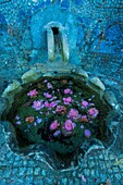 Portugal, Sintra, Quinta da Regaleira, romantic garden, floating flowers stoups