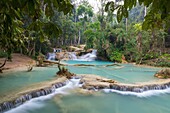 Laos, Provinz Luang Prabang, Kuang Si Wasserfälle