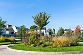 France, Seine Saint Denis, Villemomble, Square of Verdun