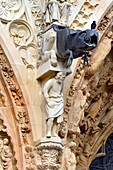 Frankreich, Marne, Reims, Kathedrale Notre Dame, von der UNESCO zum Weltkulturerbe erklärt, Westfassade, Wasserspeier aus Blei und Zink (17. Jahrhundert)