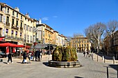 France, Bouches du Rhone, Aix en Provence, cours Mirabeau, main avenue, fountain of nine guns