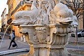 France, Bouches du Rhone, Aix en Provence, Mazarin quarter, fountain and four Dolphins square (place des quatre Dauphins)
