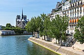 France, Paris, area listed as World heritage by UNESCO, Quai d'Orleans on Ile Saint Louis and Notre-Dame cathedral on the Ile de la Cité