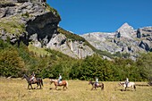 France, Haute Savoie, Sixt Fer a Cheval, equestrian hike in the Circus of Horseshoe to the End of the World, the Pyramid of the Ottoman Head (2549m)