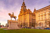 Blick auf das Royal Liver Building, Liverpool City Centre, Liverpool, Merseyside, England, Vereinigtes Königreich, Europa