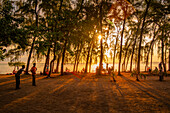 Blick auf Bäume und Menschen am öffentlichen Strand von Mon Choisy bei Sonnenuntergang, Mauritius, Indischer Ozean, Afrika