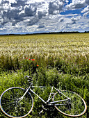 Bicycle laid by a field under a cloudy sky in Eure, Normandy, France, Europe