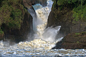 Murchison Falls, Murchison Falls National Park, Uganda, Ostafrika, Afrika