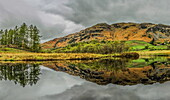 Spiegelungen des Lingmoor Fell im jungen Fluss Brathay vom Little Langdale Valley im Lake District National Park, UNESCO-Weltkulturerbe, Cumbria, England, Vereinigtes Königreich, Europa