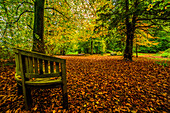 Herbstfarben von Conishead Priory, Ulverston, Halbinsel Furness, Cumbrian Coast, Cumbria, England, Vereinigtes Königreich, Europa