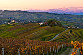 Grinzane Cavour und Monviso bei Sonnenaufgang im Herbst, Cuneo, Langhe und Roero, Piemont, Italien, Europa