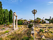 Ancient Agora, Kos Town, Kos Island, Dodecanese, Greek Islands, Greece, Europe
