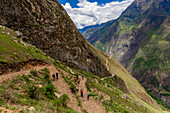 Landschaft entlang des Choquequirao-Pfads, Peru, Südamerika