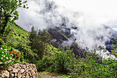 Scenery along the Choquequirao trail, Peru, South America