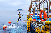 Haenyeo-Taucher, die dafür bekannt sind, dass sie bis in die Achtzigerjahre tauchen und bis zu zwei Minuten lang die Luft anhalten, um Muscheln, Tintenfische, Seetang und andere Meeresfrüchte zu fangen, Jeju, Südkorea, Asien