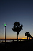 USA, South Carolina, Charleston, Silhouetten von Palmen am Ashley River bei Sonnenuntergang