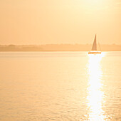 USA, South Carolina, Charleston, Segelboot im Hafen von Charleston bei Sonnenuntergang