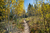 USA, Idaho, Wanderweg im Herbst im Sun Valley
