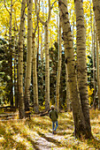 USA, New Mexico, Junge geht auf Wanderweg im Santa Fe National Forest