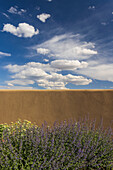 USA, New Mexico, Santa Fe, Blühende Büsche vor einer Lehmmauer