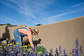 USA, New Mexico, Santa Fe, Woman in straw hat and denim overalls gardening