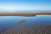 USA, Oregon, Shallow pools of water at sandy Cannon Beach