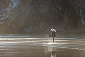 USA, Oregon, Newport, Woman splashing shallow water at beach 