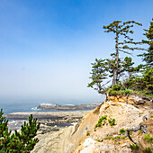 USA, Oregon, Coos Bay, Felsvorsprünge und Bäume entlang der Küste